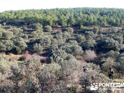 Ruta senderista por el embalse de Puentes Viejas;rutas senderismo madrid faciles;foro de senderismo 